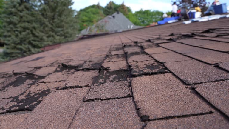 Steel Roofing in Reserve, LA